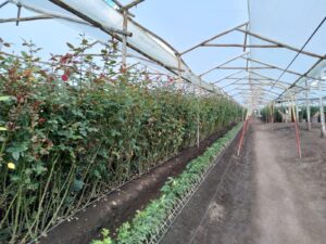 6374224 53839962828513658193378099180894699210781119992535608892095536828289657580834