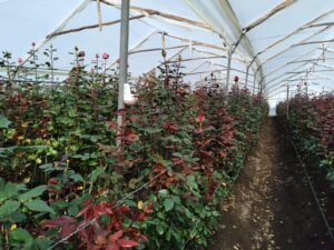 6374224 83347083519301088303045841803940751406732109515291801478190502536408394736800