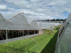 6374224 84558010667947062935349857474396294138297221113060603508073010984300343105529