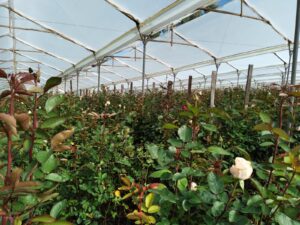 6374224 94204878137170049440779111457010654024934175693190217945407967613498838750290