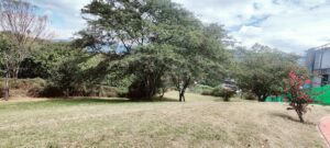 6384738 12683720762625481186201671077474938521326685752326052823471396203773180728720