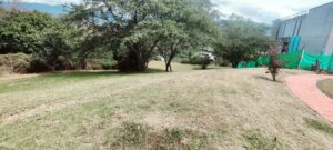 6384738 24126991069143730611698535587171713931750930945661693558329100587017352986681