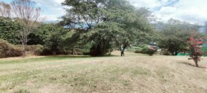 6384738 34453622535903305386193231597919426269943467454529695388527292329518355503036