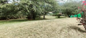 6384738 76850543800843713235567064512539185427585257489306793645919087759872974115596