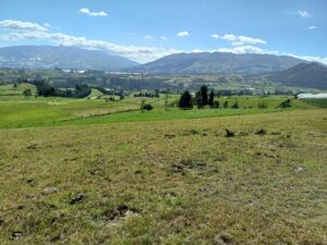 6399728 13496578202835589732568224976947281543730275606129109000531025777439273698783