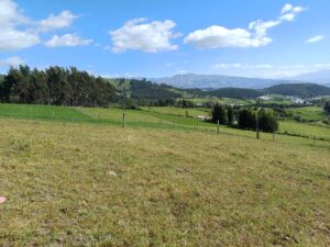 6399728 19157420959202022234596453268356077987163124672547692921153842924777412756493