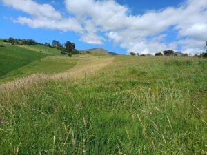 6399728 19182454501881830196548769846668081861532957811615410207801277768016262914130