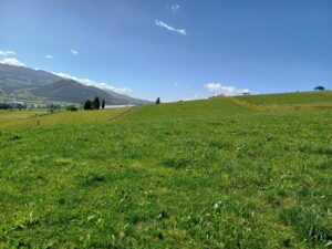 6399728 20990379013518068447265951823544254712326484855646919868941017662109096062709