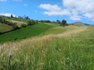 6399728 21812450821461257992239797006503804029968445979505792999205836445292494910192