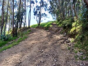 6399728 30003869924572852927390056879685663429495737337356685298135656183313784268863