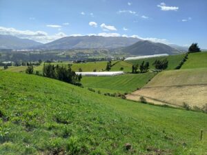 6399728 32308550357665260936288754296072650091005179983657964553867945942322331105811