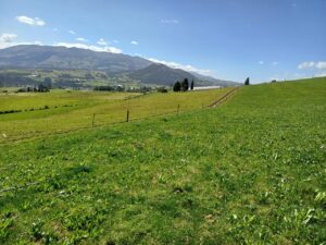 6399728 32713165947185437609880974318636401473538979119373089061137772856486239186180