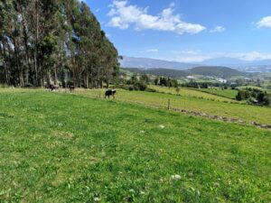 6399728 44779562227141746064696655098946983280182010459579667139776925911305001797486