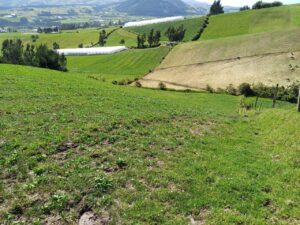 6399728 46102791215782708214051374995914613463823262836962218006973774602709743287068