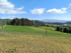 6399728 57502202359157674359849059763392936756383894557585673842815701023320274481846