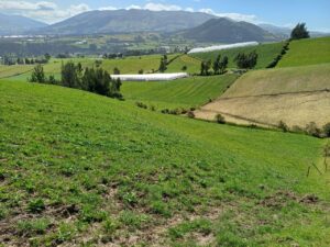 6399728 63651827314367778799436813259898015438189165075948889477096652625818925680976