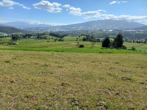 6399728 9084026907994834476252480941127161876041947643272649436674270703282797253645