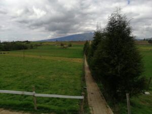 6399750 109680848961112193154738502425718718495212373396745261566722923057139480699430