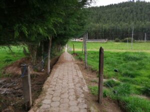 6399750 115243422706202770536424928709741861529986682414065315333334206765137578204500