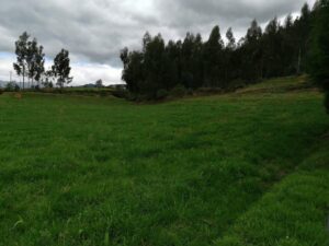 6399750 17517931959871996282643199952401876262673944983634868545761353560799839969893