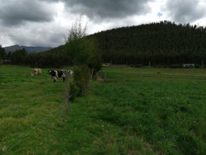 6399750 21591346829589739176647784564422450227732162628341895008340255525160237540092