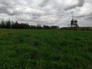 6399750 21787767657778958488763473891348246258267999696121645723042974910253527965895