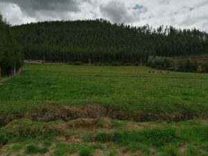 6399750 42016282159256019826032243071333609255826265482233960958122949503915630771460