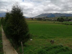 6399750 45659004919384528927346201315126810826848494314208166769211193250553649380875