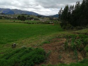 6399750 57314010717317248403247118110424604275098327124567823781190984732826516052254