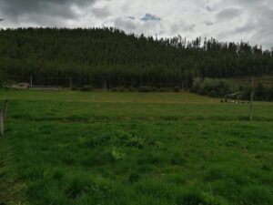 6399750 67262603547235300500036343694444868462471283436984231486309859043401140357726