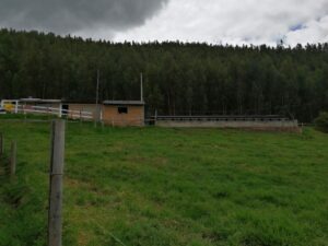 6399750 77166083523885042846712575097709137766358378798463343836659749633509331411543