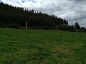 6399750 97232766604288401883305324226394696949831355627170067094080808907208335664283