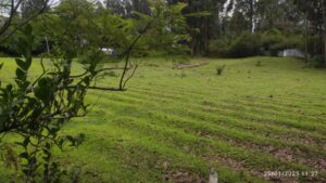 6745853 34189651081623912776068906109685583970950285326596944268763125011370591871406