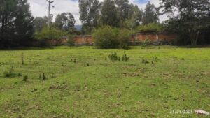 6745853 7182302392074907458290670541828634317770791112897194293777945119014494953