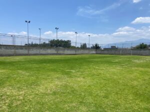 6916173 37324114431452804308940565159220202448131839965003333176502922253892183291337