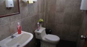 6917468 95523703177255067919927935989562541015697079339154333512190533291328772644018