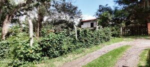 6960573 58762563237205327113121887179236658781970734953713384708035747965943245506830