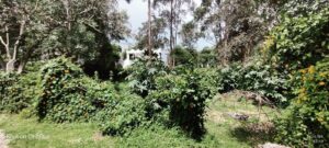 6960573 64412495093239877173732127706598889522045014450589008054933647181457657699835