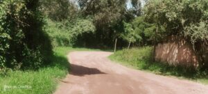 6960573 68591978087504128256530122069460233780998959316200422274558983265251020028072