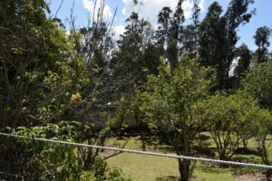 7018671 27526215740390368443102873646292687591518268696214507674619601962604101408698