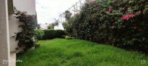 7074441 6911861286696572610707585427527510061794313294441103481990279599433103013228