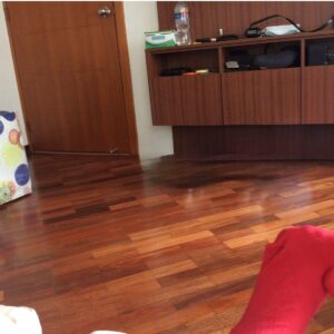 7365967 41078575097908516500191198725520171904906977916674740100146522412631965467430