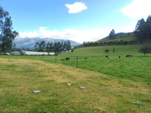 7511376 19681219028938058363160266329188502981110585796436370786399413690785434526520