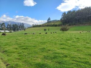 7511376 27048213571495283578407538918822368582188008553178066025008749211071017303081