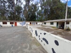 7511376 9743887575781439012286377595963701802789515549256515812494951674501786064280