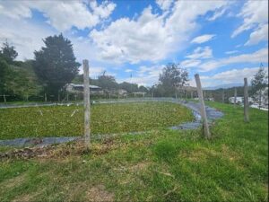 7511392 74892274342246298708092104198416945132413978647749988026438988507818531035336