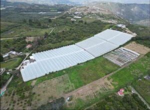 7511392 82772895081482570846734464433387723238834239910163538324388831496106058182947