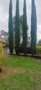 7683798 100243168888345640666497385653955502867348299925879247068868557496765342606794 2