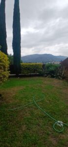 7683798 113564069454734995233455478216522161234210349523194010215905562446781309084979 2