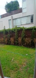 7683798 47072359446058809687427299970004992133596789901649690736034284908105738596618 2